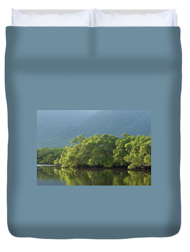 Amazon Rainforest Duvet Cover featuring the photograph Brazilian Rainforest by Ranplett