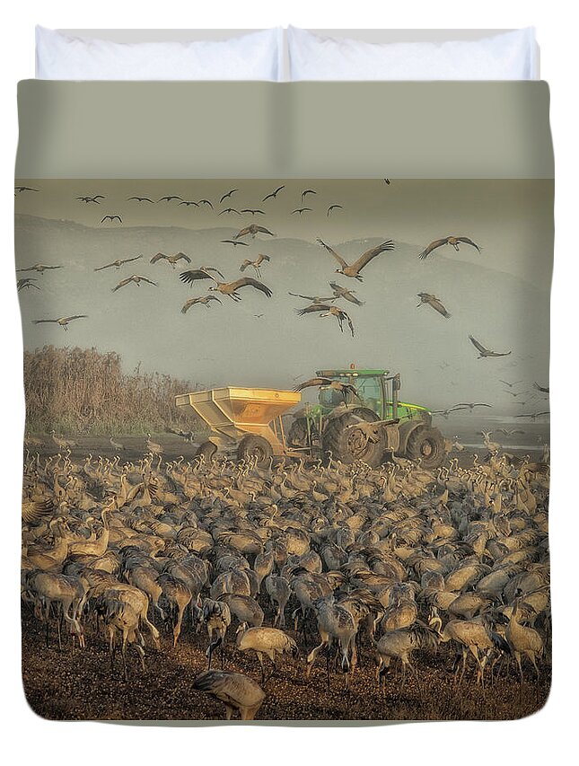 Cranes Duvet Cover featuring the photograph Breakfast time by Uri Baruch