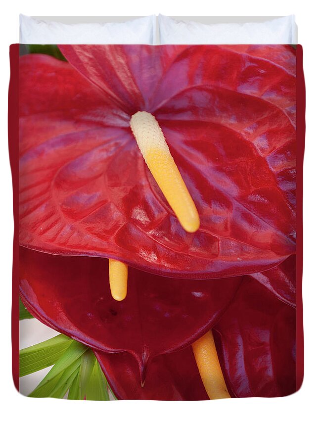 Flower Market Duvet Cover featuring the photograph Bright Red Anthurium Flowers At A by Stuart Mccall