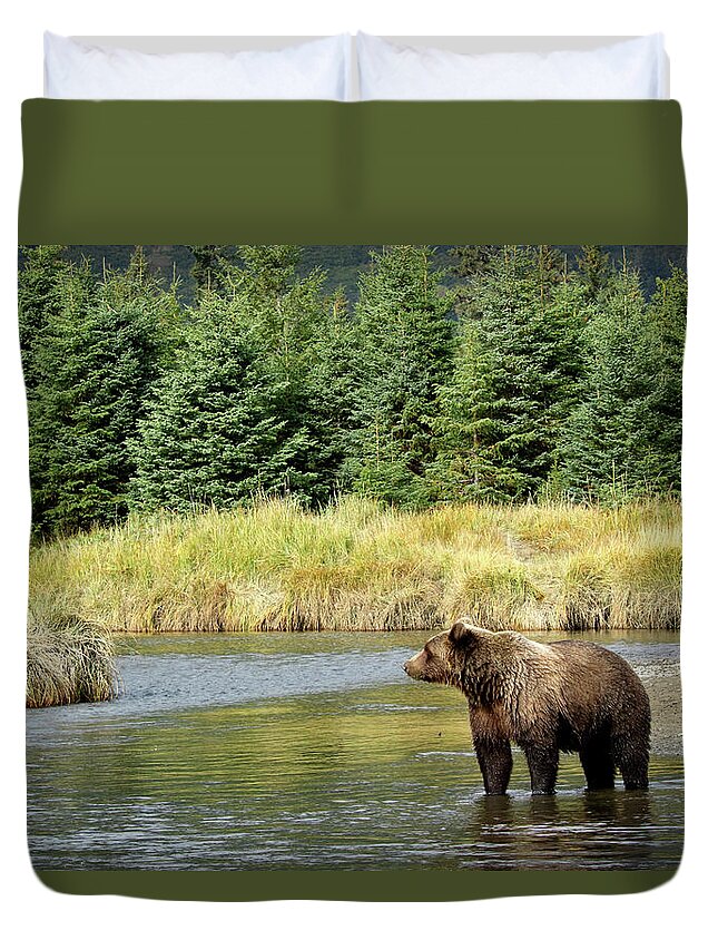 Brown Bear Duvet Cover featuring the photograph Brown Bear in the Stream by Coby Cooper