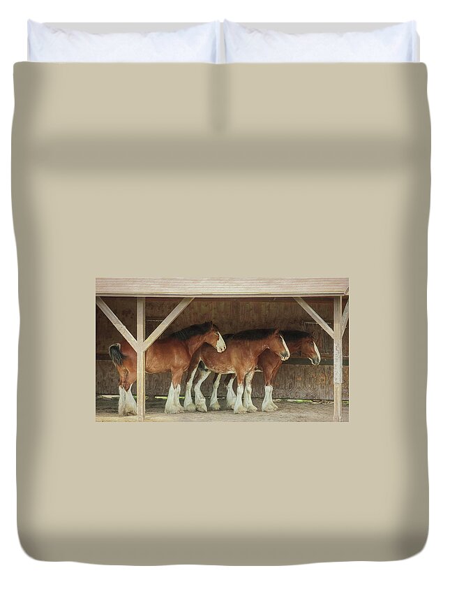 Budweiser Clydesdales Duvet Cover featuring the photograph Budweiser Clydesdales by Carrie Ann Grippo-Pike