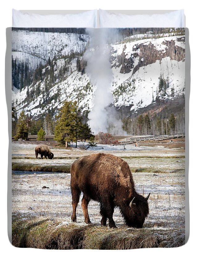 Dawn Duvet Cover featuring the photograph Buffalo, Yellowstone National Park by Paul Souders