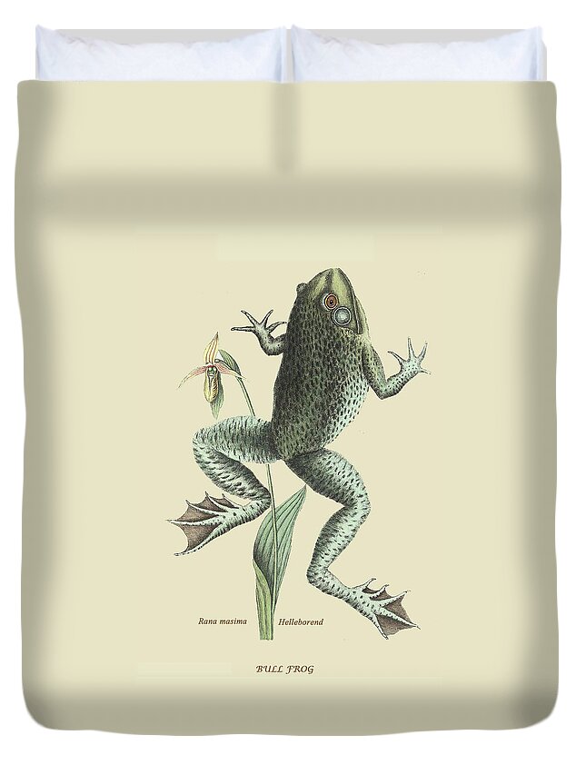 Nature Duvet Cover featuring the painting Bull Frog by Mark Catesby