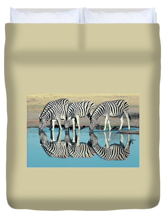 Plains Zebra Duvet Cover featuring the photograph Burchells Zebra Equus Burchelli by Digital Vision.