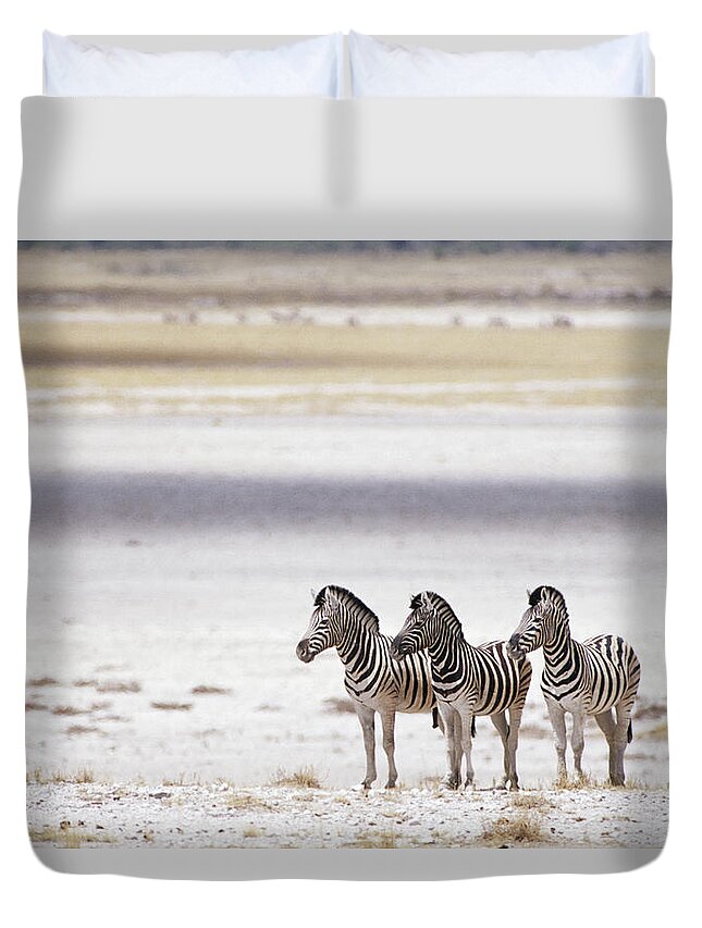 Plains Zebra Duvet Cover featuring the photograph Burchells Zebra Equus Burchelli by Roine Magnusson