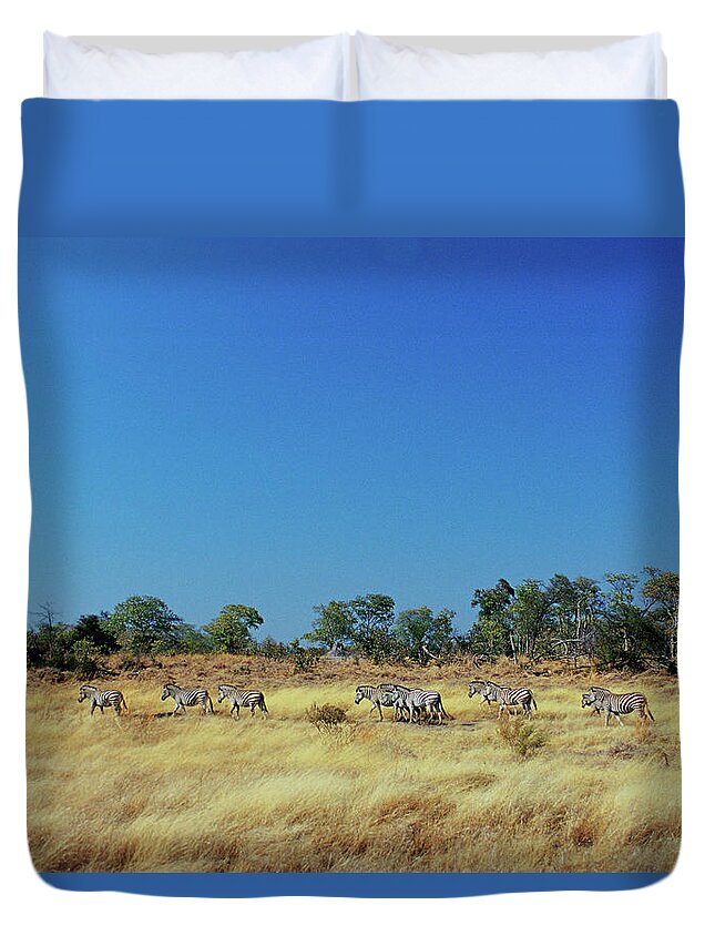 Speed Duvet Cover featuring the photograph Burchells Zebras, Botswana by Tim Graham