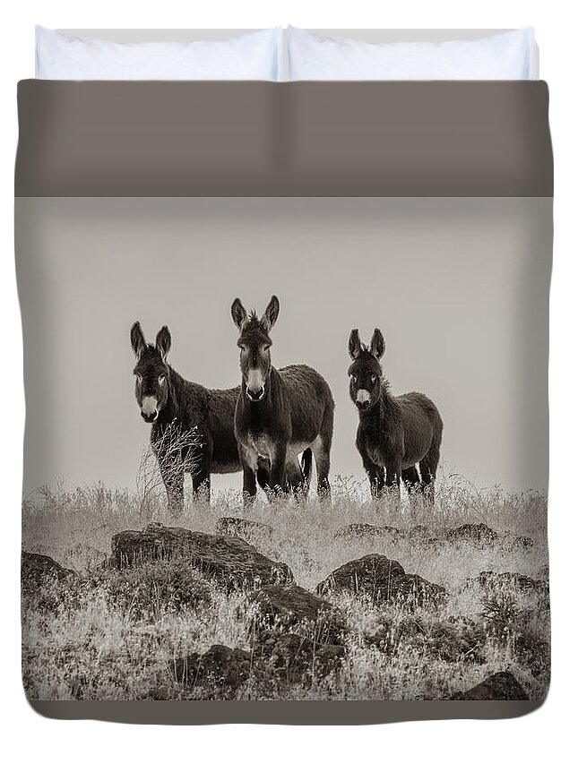 Wild Burro Duvet Cover featuring the photograph Burros in Sepia by Randy Robbins