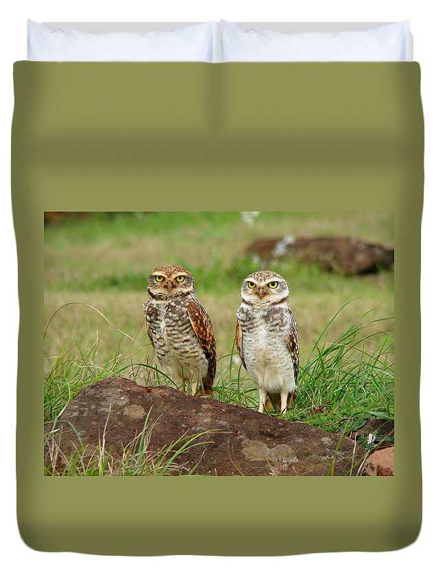 Grass Duvet Cover featuring the photograph Burrowing Owl by Antonello