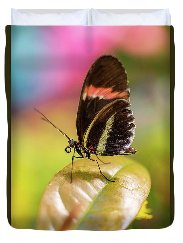 Butterfly Duvet Cover featuring the photograph Butterfly by John Randazzo