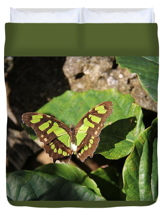 Butterfly Duvet Cover featuring the photograph Butterfly - Malachite by Richard Krebs