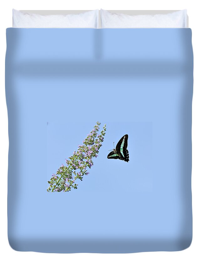 Insect Duvet Cover featuring the photograph Butterfly by Myu-myu