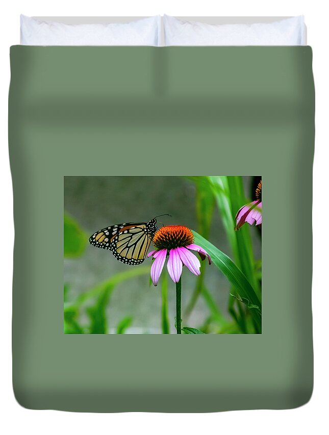 Butterfly Duvet Cover featuring the photograph Butterfly on Echinacea by Cathy Kovarik
