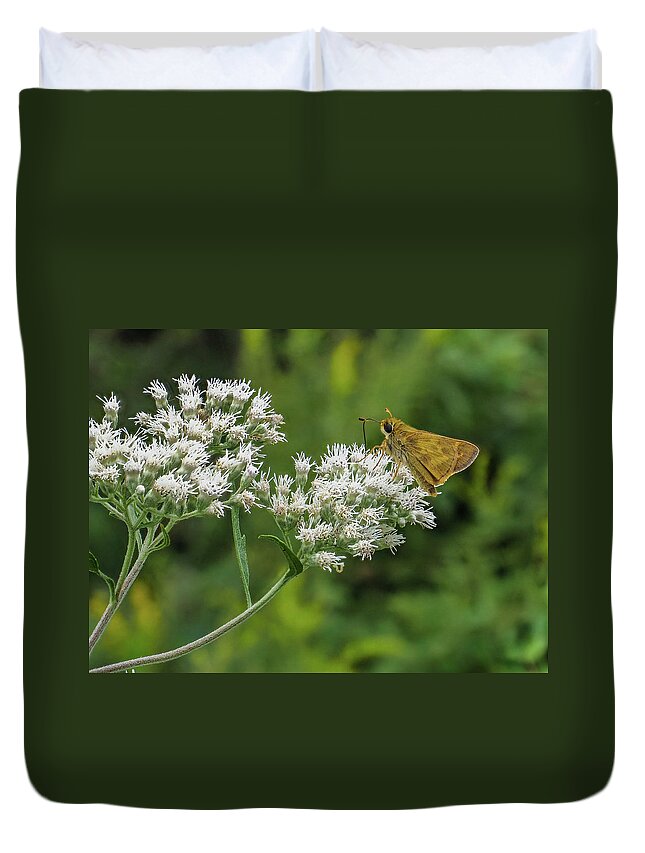Nature Duvet Cover featuring the photograph Butterfly or Moth Photo by Louis Dallara