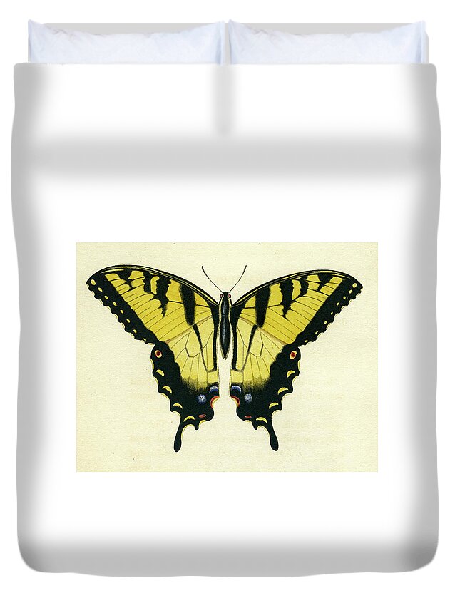 Entomology Duvet Cover featuring the mixed media Butterfly by Unknown