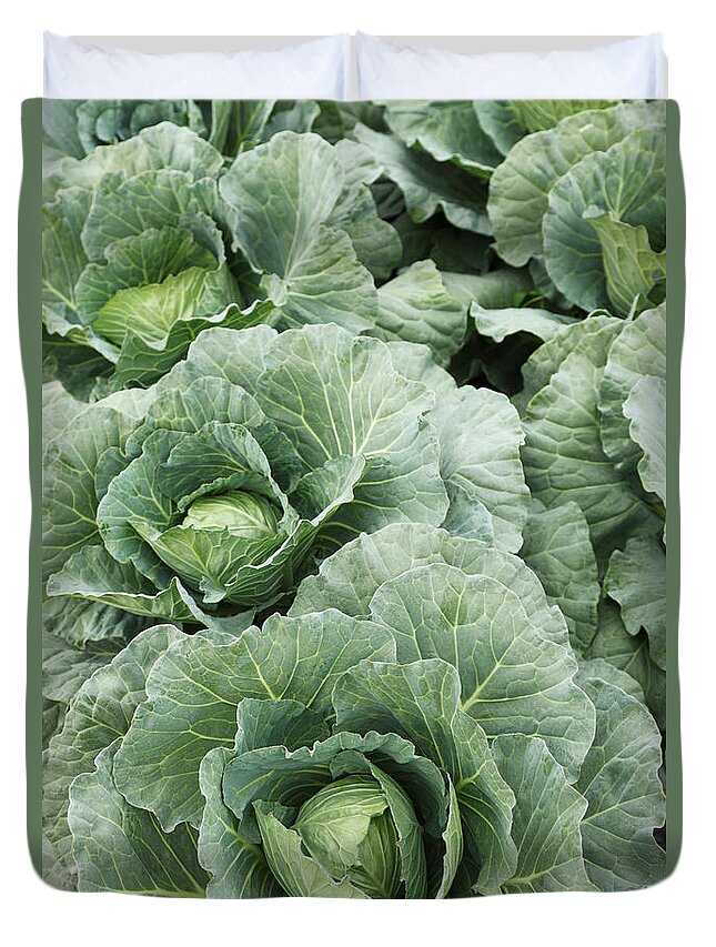 Large Group Of Objects Duvet Cover featuring the photograph Cabbage, Thailand by Paul Taylor