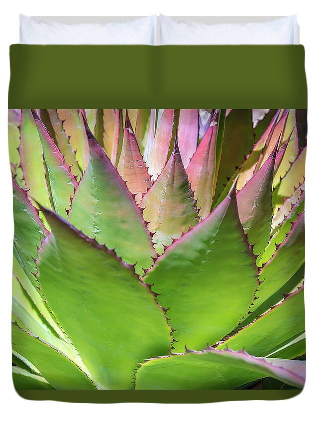 © 2015 Lou Novick All Rights Reserved Duvet Cover featuring the photograph Cactus 4 by Lou Novick