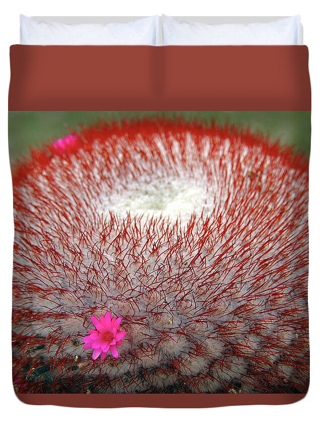 Estock Duvet Cover featuring the digital art Cactus With Single Flower by Colin Dutton