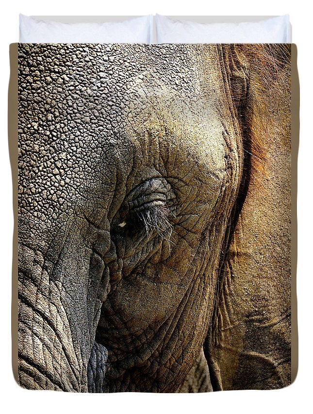 Africa Zambia Livingstone Elephant Café Duvet Cover featuring the photograph Cafe Elephant by Darcy Dietrich