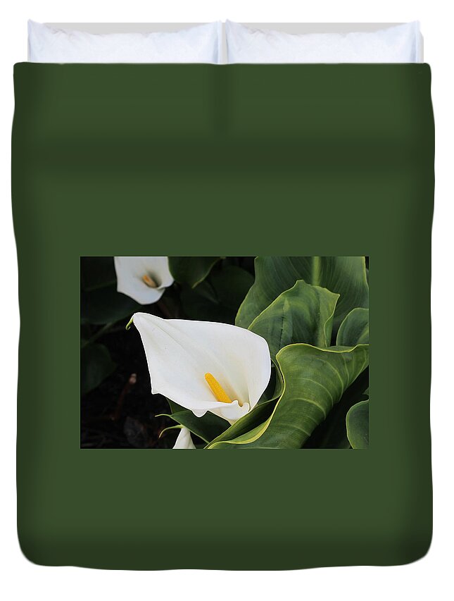Calla Lily Duvet Cover featuring the photograph California Calla Lily by Laura Smith