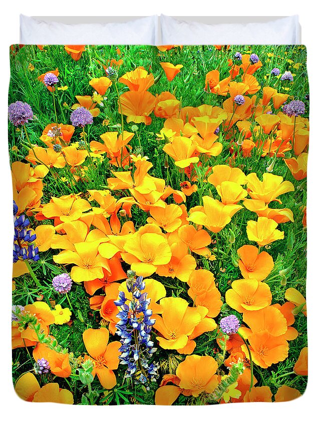 North America Duvet Cover featuring the photograph California Poppies and Betham Lupines Southern California by Dave Welling