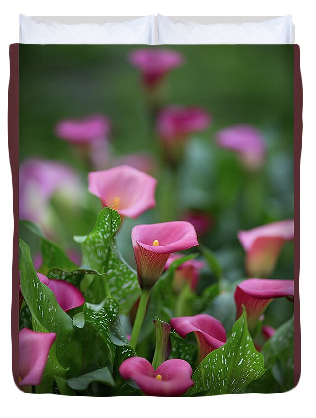 Calla Lilies Duvet Cover featuring the photograph Calla Lilies by Eva Lechner