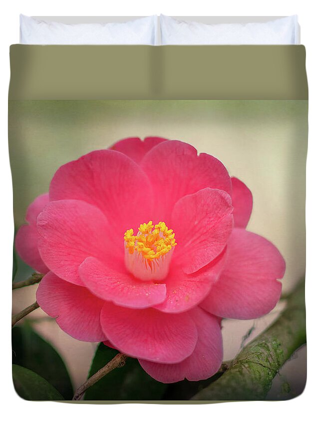 Camellia Japonica Duvet Cover featuring the photograph Camellia of Wormsloe Plantation by Douglas Wielfaert
