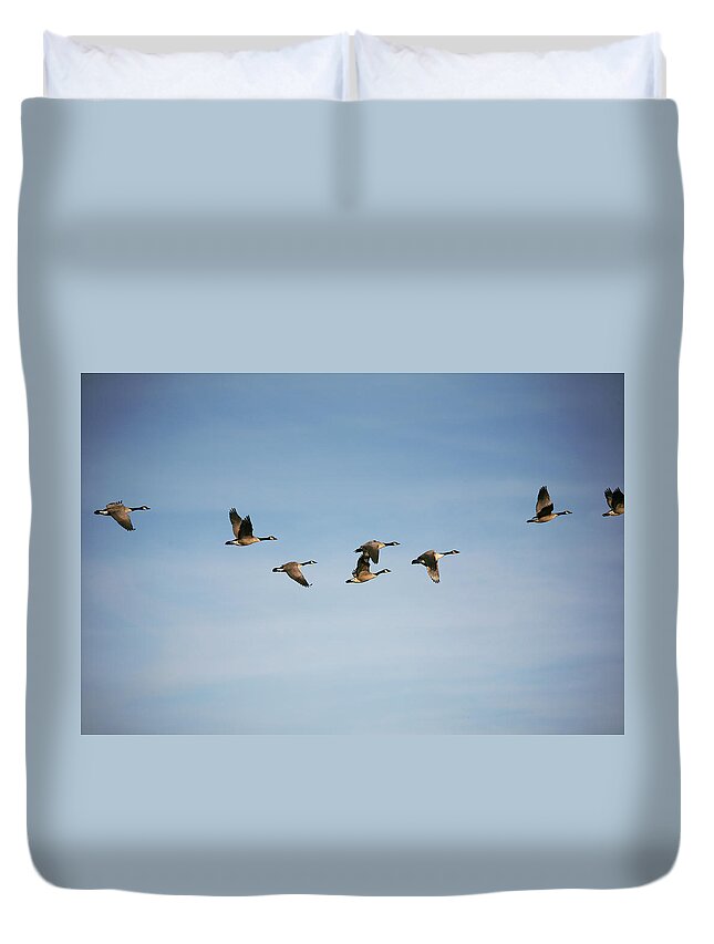 Part Of A Series Duvet Cover featuring the photograph Canada Geese In Flight by Georgepeters