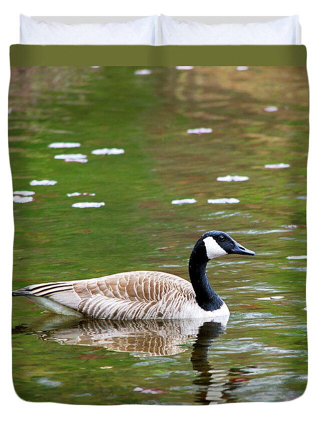 Canada Goose Duvet Cover featuring the photograph Canada Goose Square by Christina Rollo