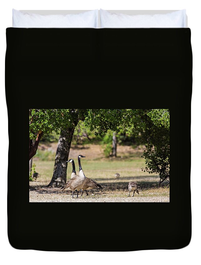 Canadian Goose Duvet Cover featuring the photograph Canadian Geese Family by Julieta Belmont
