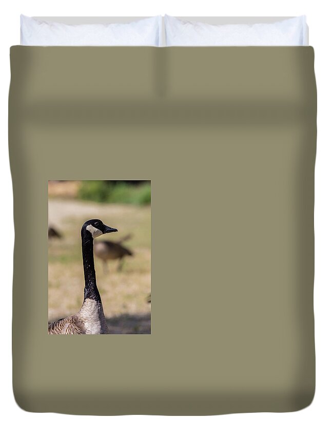 Lake Duvet Cover featuring the photograph Canadian goose, Mississippi River State Park by Julieta Belmont
