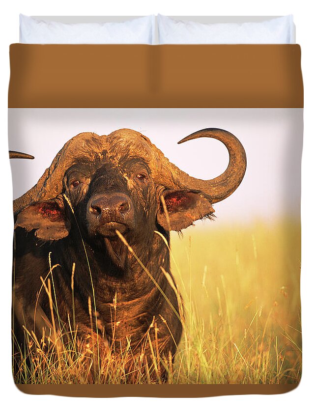 Horned Duvet Cover featuring the photograph Cape Bull Buffalo Encounter by James Warwick