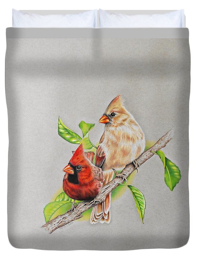 Cardinal Duvet Cover featuring the drawing Cardinal Pair by Karrie J Butler