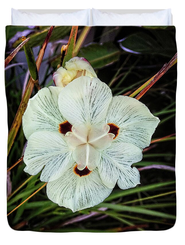 Caribbean Duvet Cover featuring the photograph Caribbean Wildflower by Pheasant Run Gallery