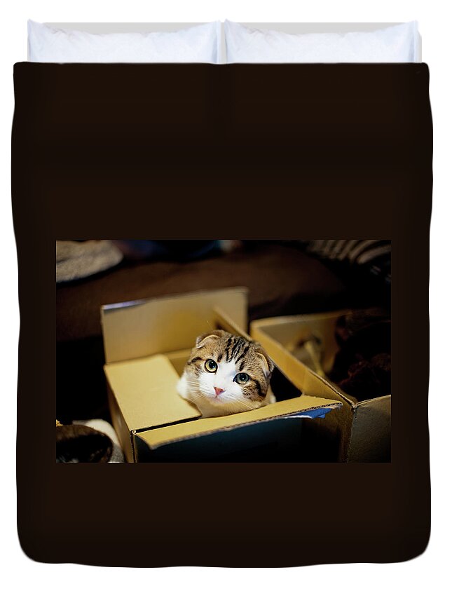 Pets Duvet Cover featuring the photograph Cat In Box by I Wish You Use My Image. ;-)
