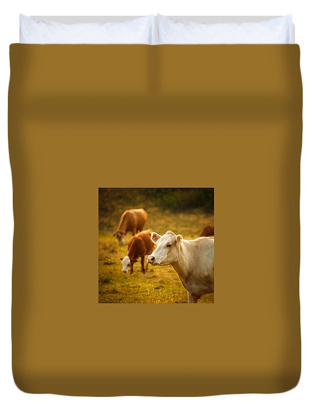 Grass Duvet Cover featuring the photograph Cattle Grazing In A Small Valley by Thepalmer