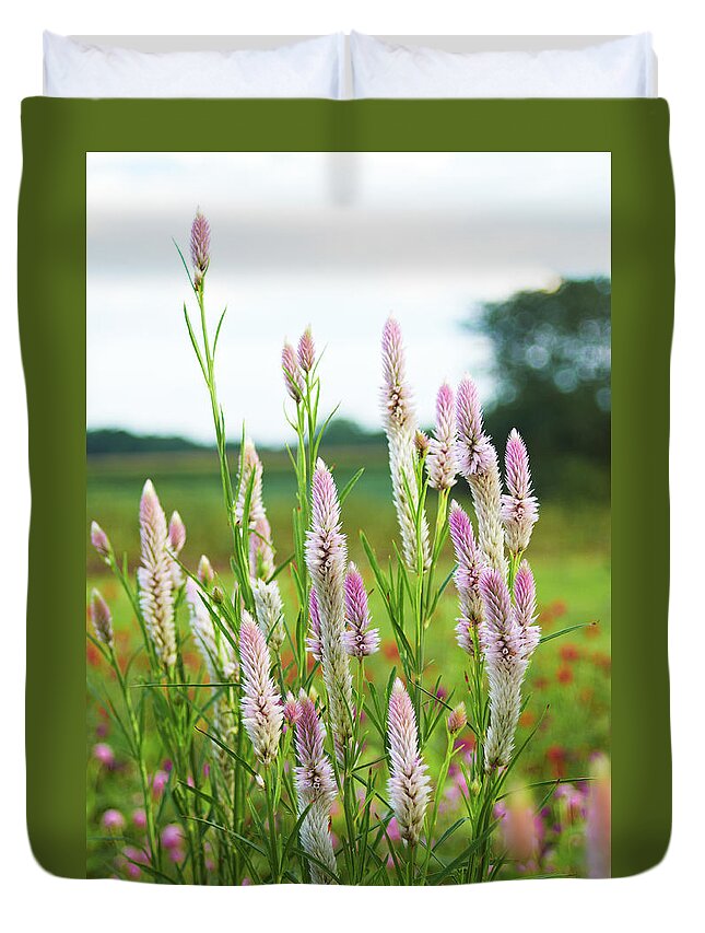 Garden Duvet Cover featuring the photograph Celosia field by Garden Gate magazine