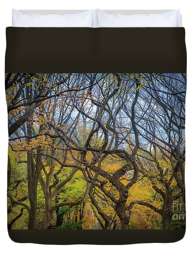 America Duvet Cover featuring the photograph Central Park Twisted Trees by Inge Johnsson