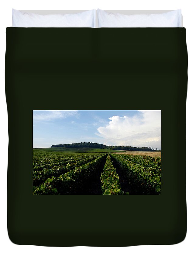 In A Row Duvet Cover featuring the photograph Champagne Vineyards by Matthieu Boichard