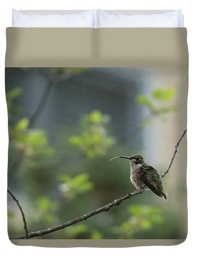 America Duvet Cover featuring the photograph Cheeky Hummingbird by Jeff Folger
