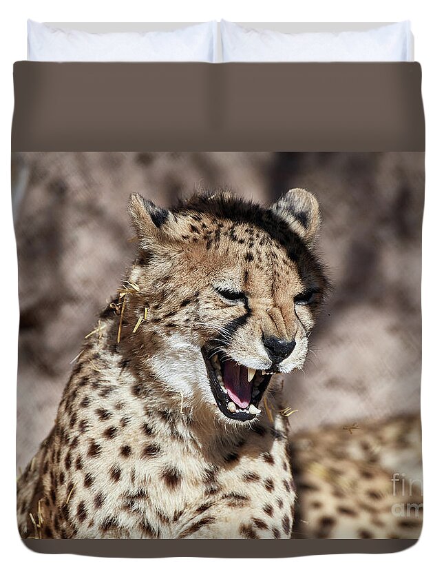 Cat Duvet Cover featuring the photograph Cheetah Growl by Robert WK Clark