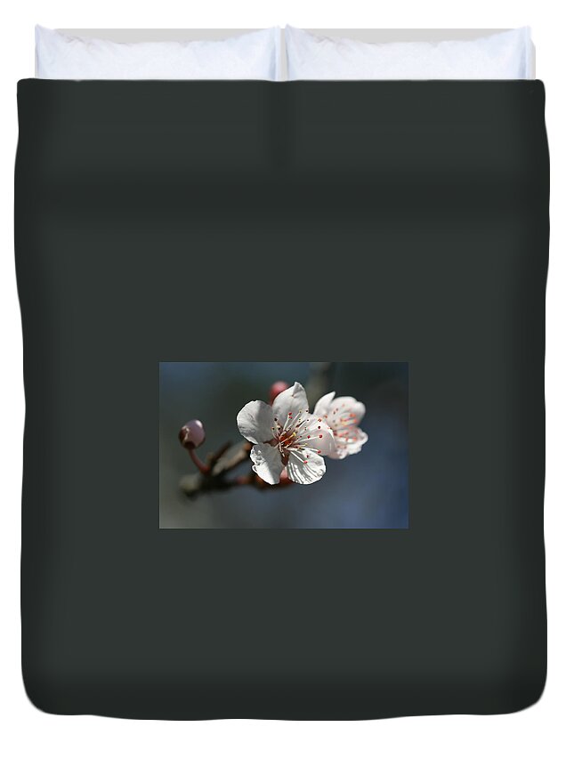 Bud Duvet Cover featuring the photograph Cherry Blossom Bud by Silkegb