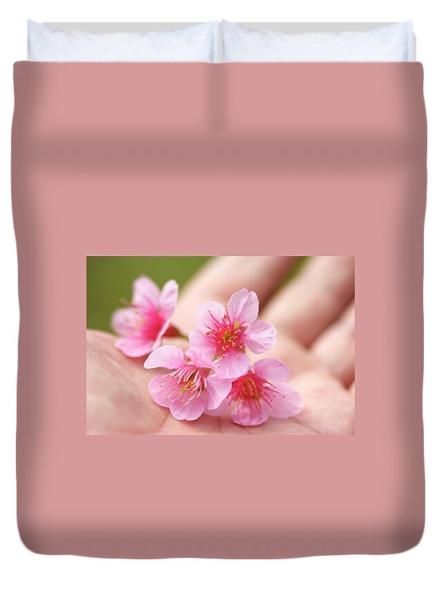 Plum Duvet Cover featuring the photograph Cherry Blossom In Hand by Tommyix