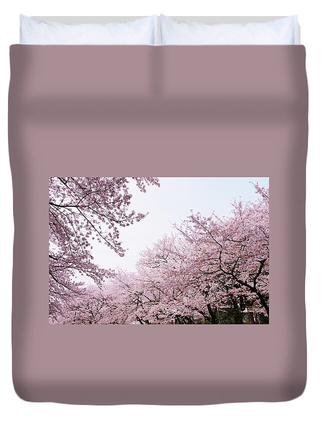 Outdoors Duvet Cover featuring the photograph Cherry Blossom by Pearl's Images