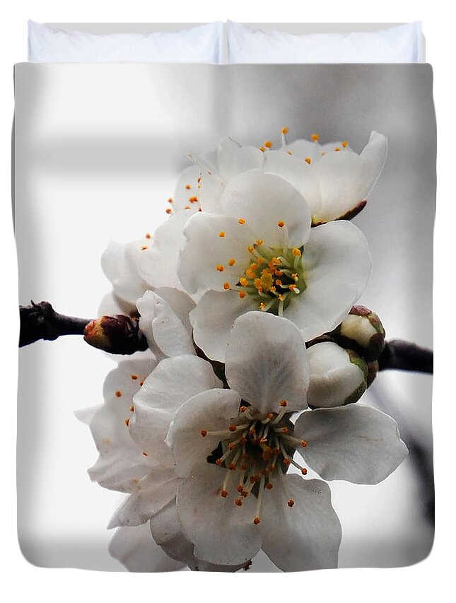 Flowers Duvet Cover featuring the photograph Cherry Blossoms by Vallee Johnson