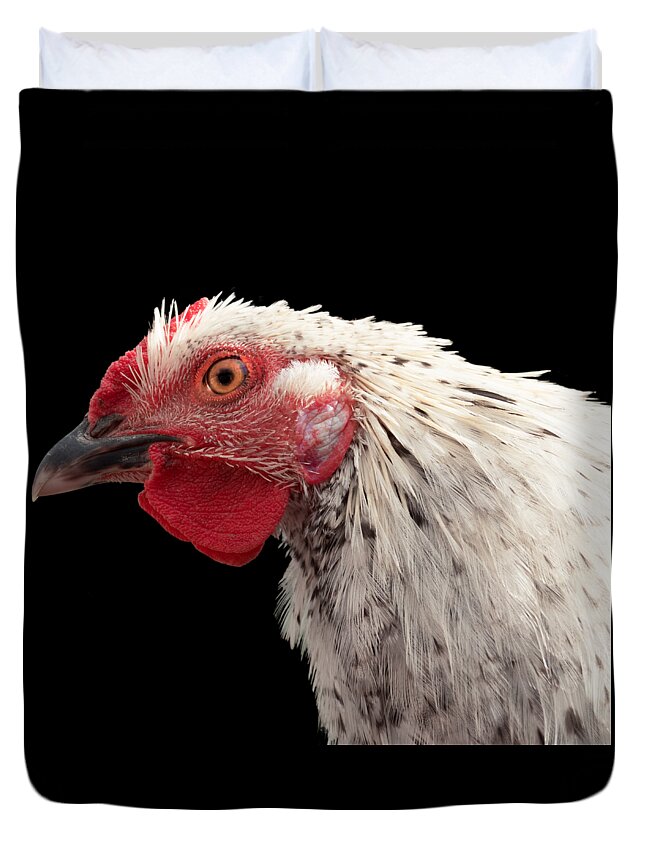 Chicken Duvet Cover featuring the photograph Chicken Head 2 by Jean Noren