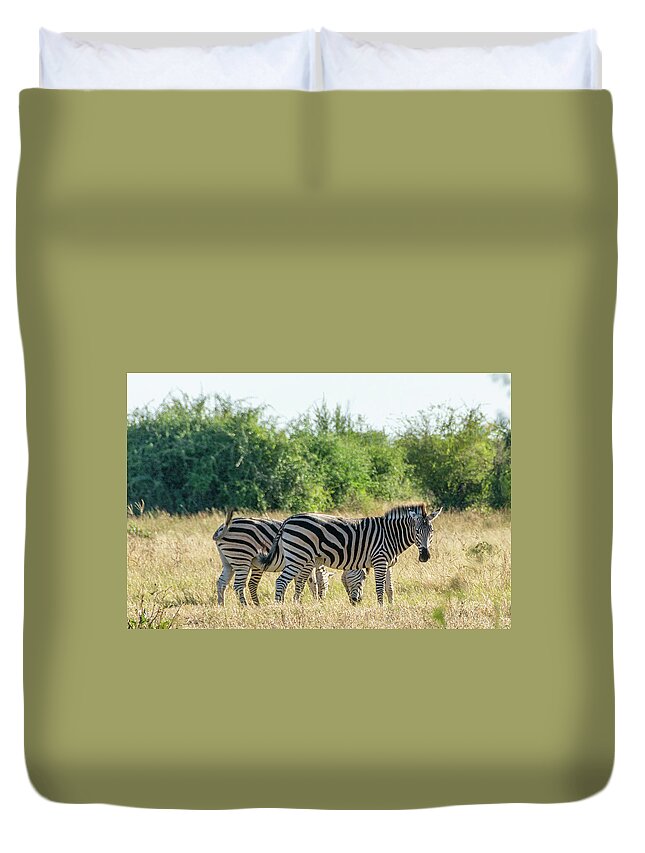 Zebra Duvet Cover featuring the photograph Chobe Zebras by Douglas Wielfaert