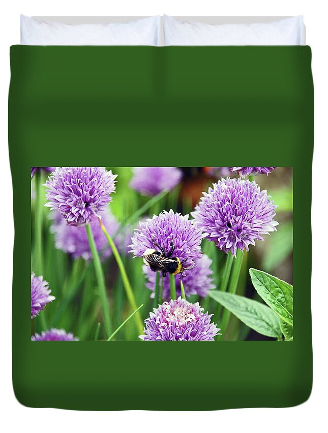 Chorley Duvet Cover featuring the photograph  CHORLEY. Picnic In The Park. Bee In The Chives. by Lachlan Main