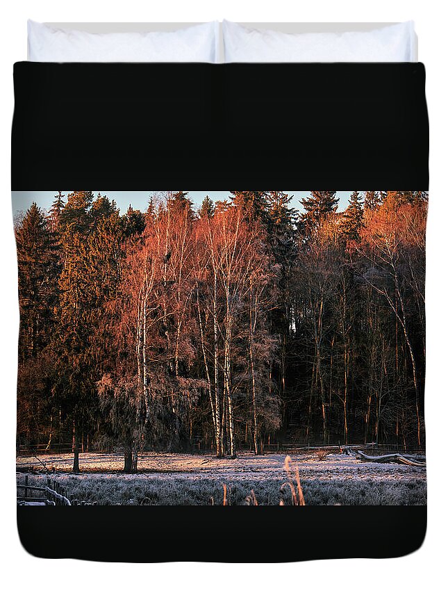 Light Duvet Cover featuring the photograph Christmas light #i2 by Leif Sohlman