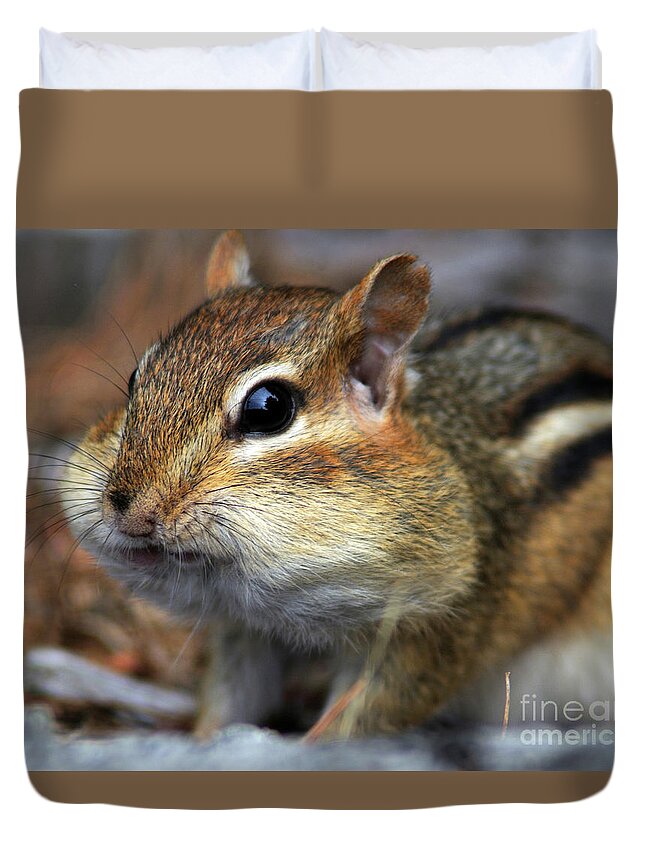 Chipmunk Duvet Cover featuring the photograph Chubby Cheeks by Jane Axman