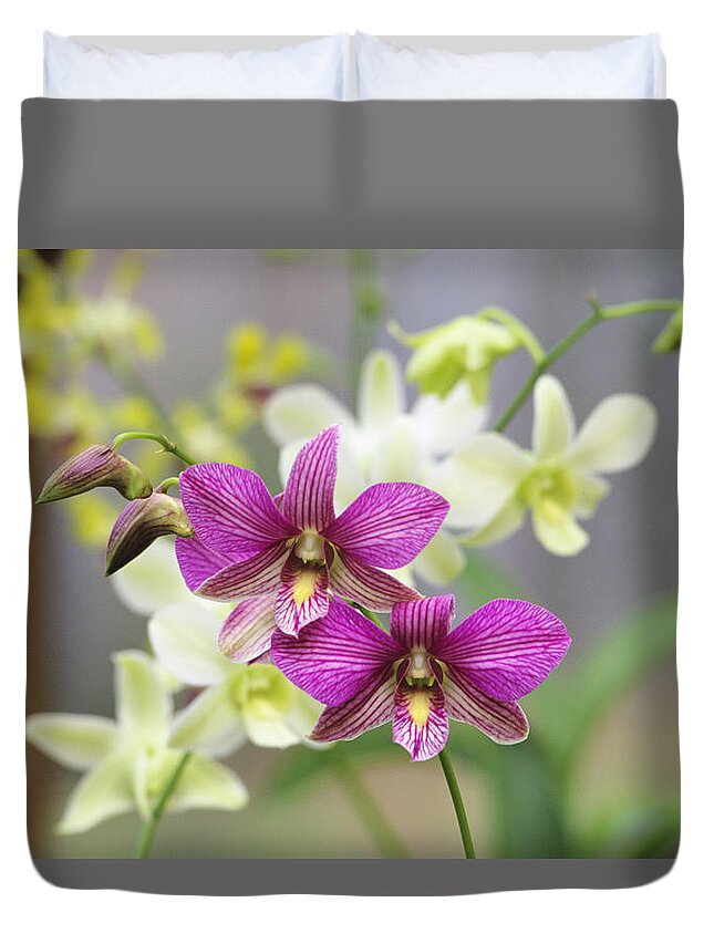 Purple Duvet Cover featuring the photograph Close-up Of A Branch Of Pink Orchids by Design Pics/allan Seiden